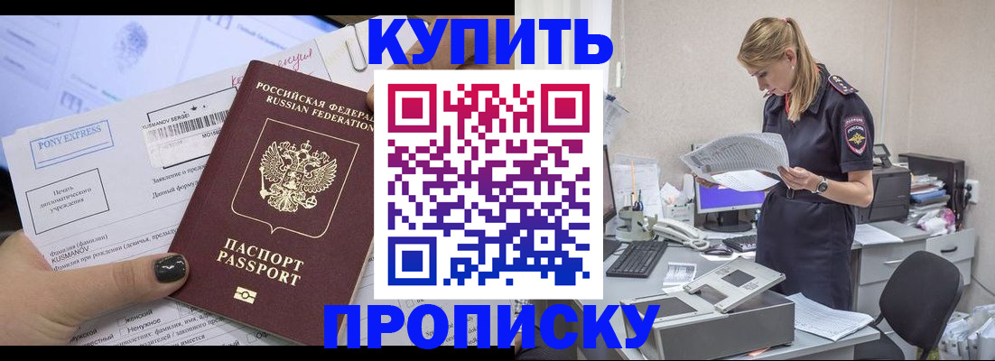временная регистрация поиск в Светлом